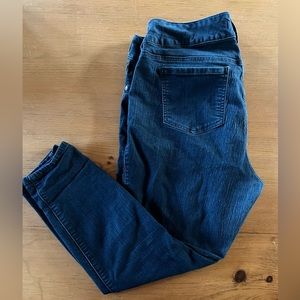 Torrid, Jegging, 18 Short